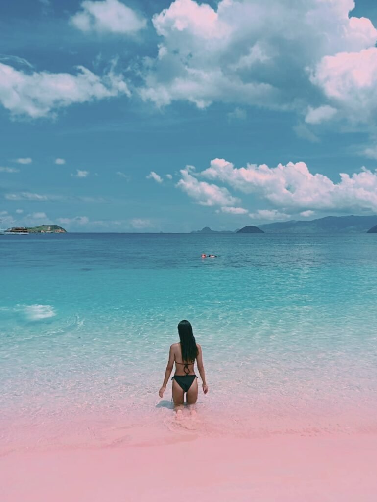 komodo national park cruise tour