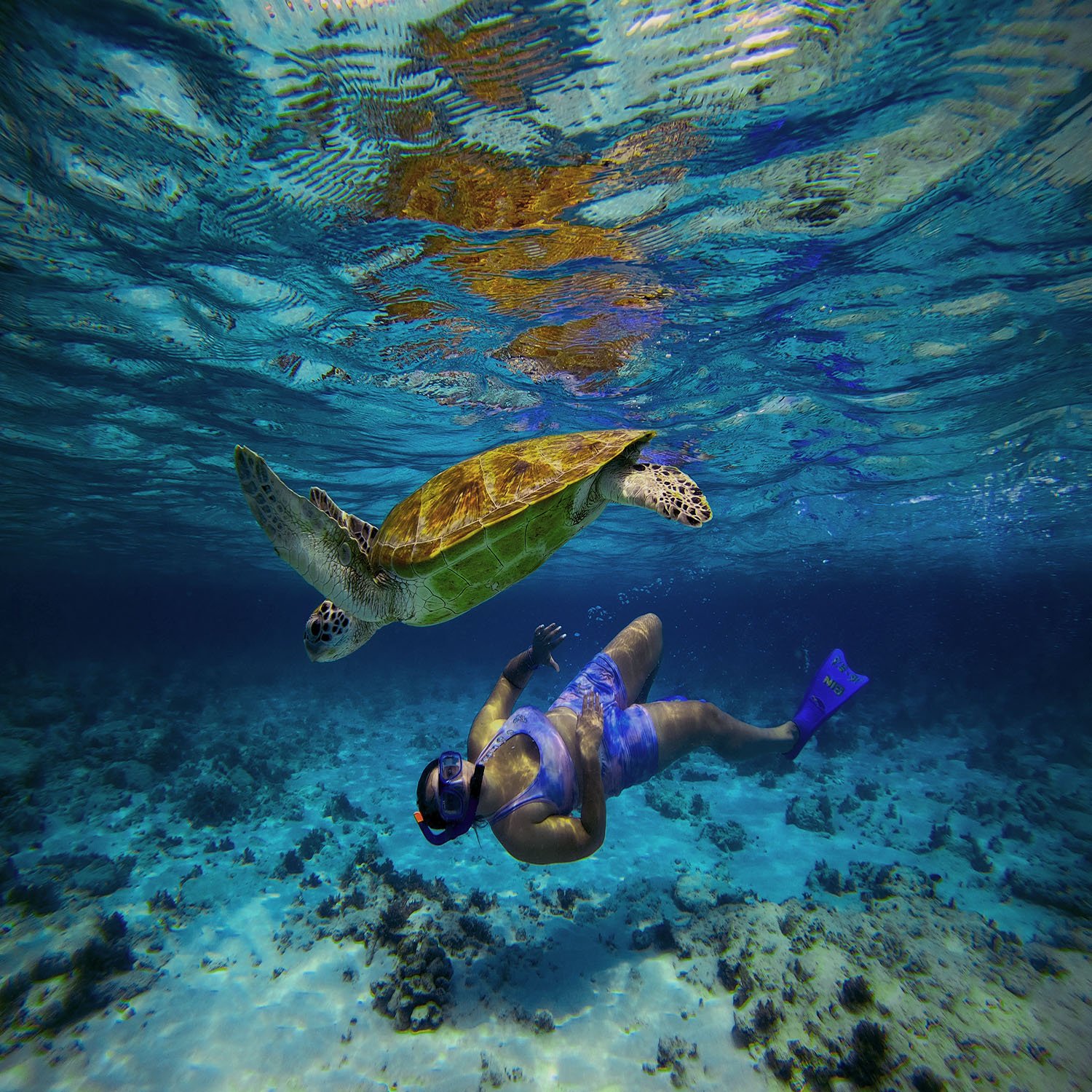 Snorkeling Tour Gili Trawangan Package