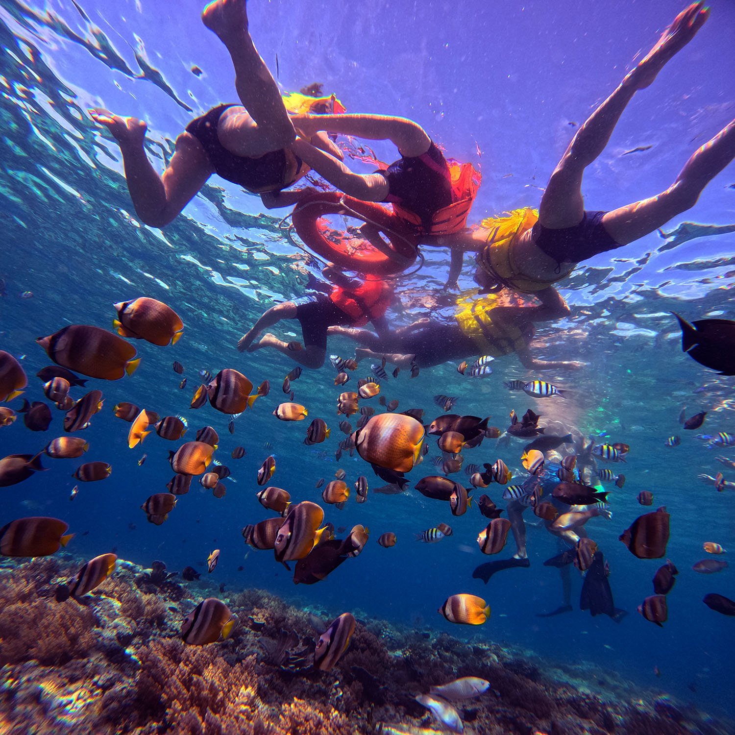 Snorkeling Trip Trawangan