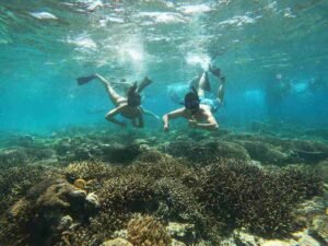 Private Snorkeling tour Gili islands