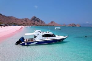 One Day Tour Komodo Island