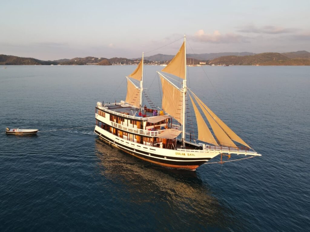 SS Luxury Cruise