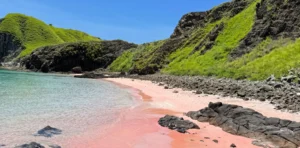 pink beach komodo island indonesia
