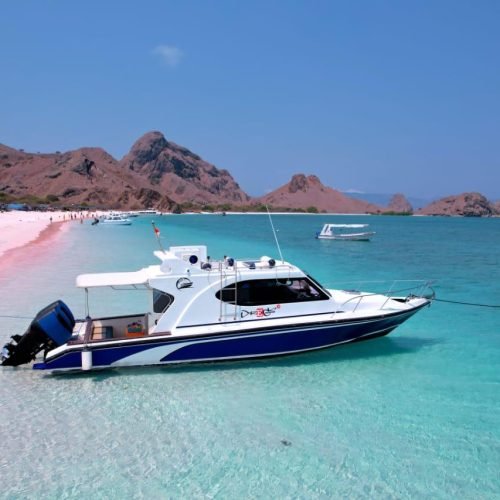 One Day Tour Komodo Island