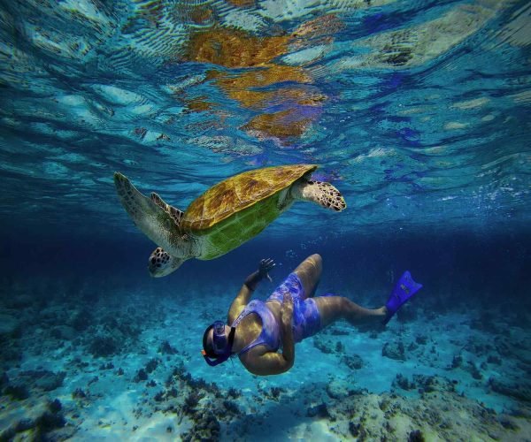 gili snorkeling without crowds