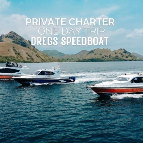 Private speed boat charter