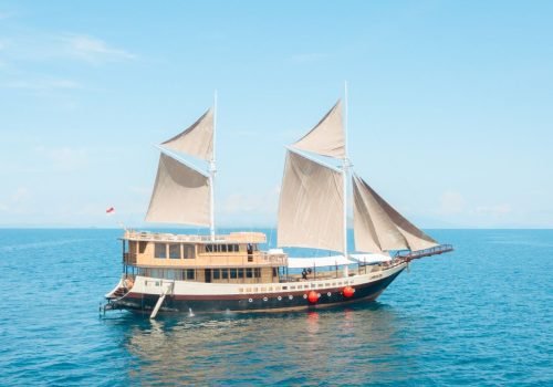 3D/2N Komodo island Tour